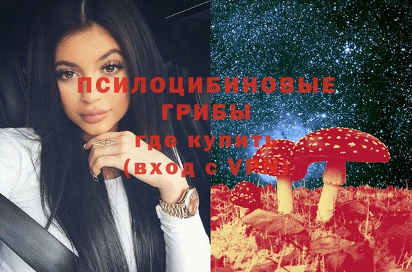 винт Армянск