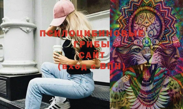 прущая мука Арсеньев