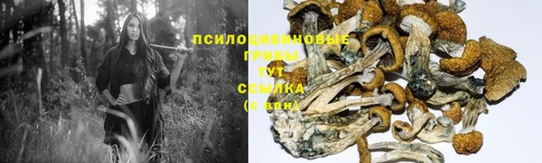 винт Армянск