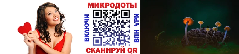 Галлюциногенные грибы мицелий Можайск